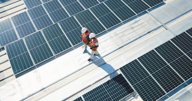 Best Roof Moss and Algae Removal  in East Quincy, CA