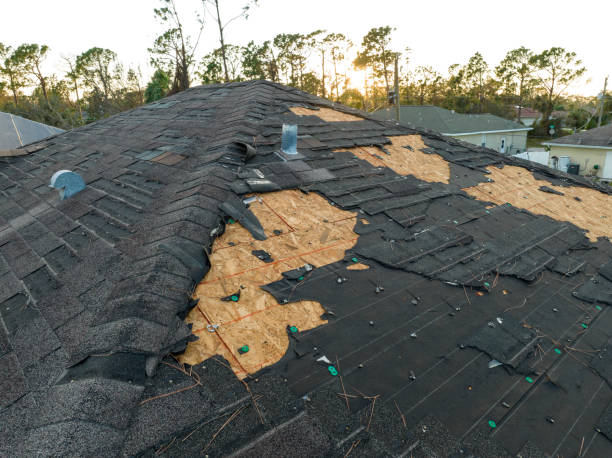 Best Rubber Roofing (EPDM, TPO)  in East Quincy, CA