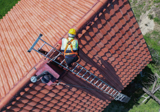 Best Asphalt Shingle Roofing  in East Quincy, CA